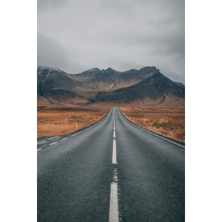 TEST PRODUCT 1, Test Category 2