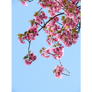 TEST STYLE 2, Test Category 1